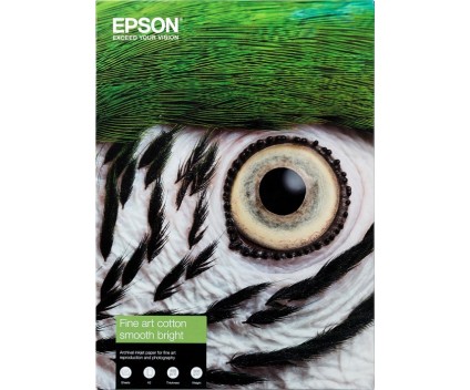 Papier Photo Original Epson S450276 300 g/m² ~ 25 Pages 420mm x 594mm