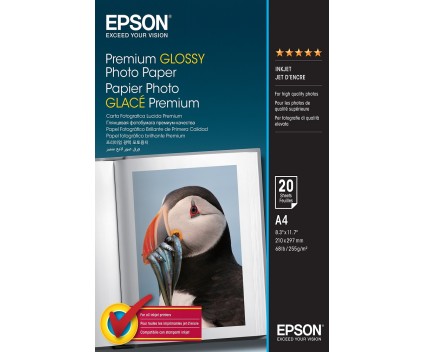 Papier Photo Original Epson S041287 255 g/m² ~ 20 Pages 210mm x 297mm